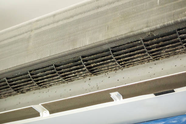 Best Affordable Duct Cleaning Services  in San Antonio, FL